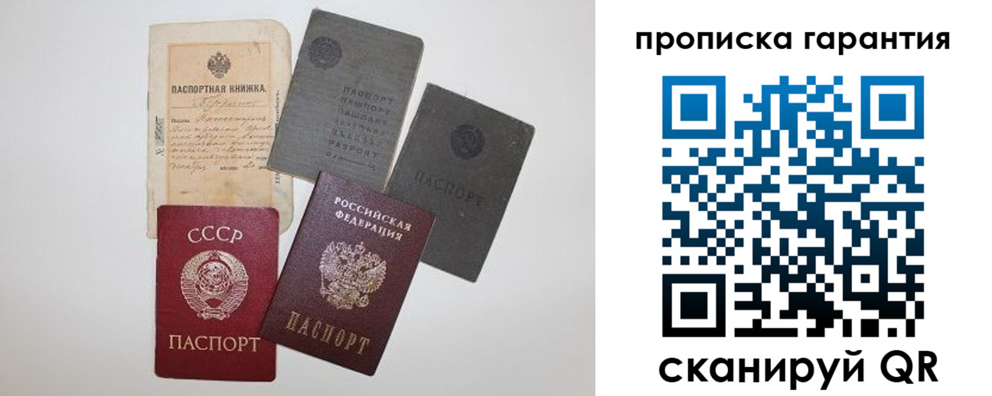 прописка 2025 в Елизово